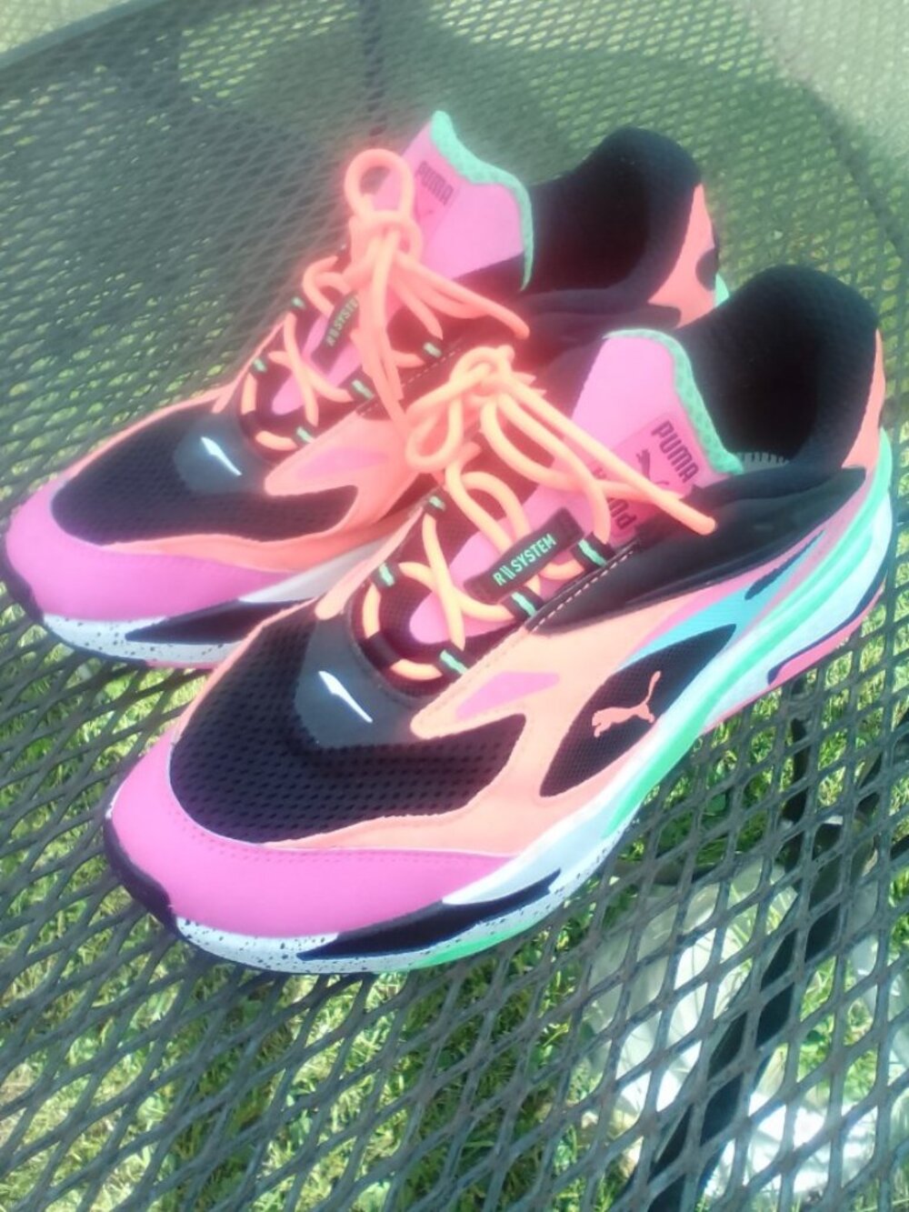 Pumas